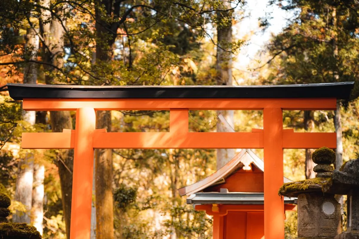 Die besten Tagesausflüge ab Kyoto